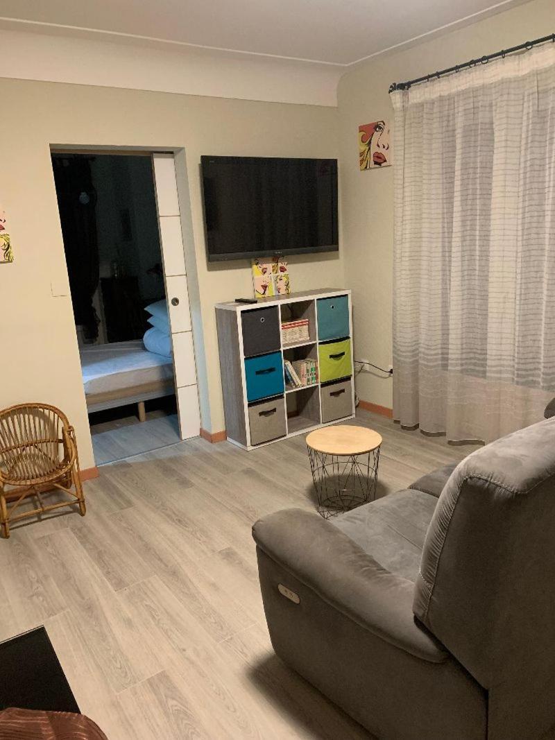 Chez Line Et Francis Appartement Tarbes Buitenkant foto